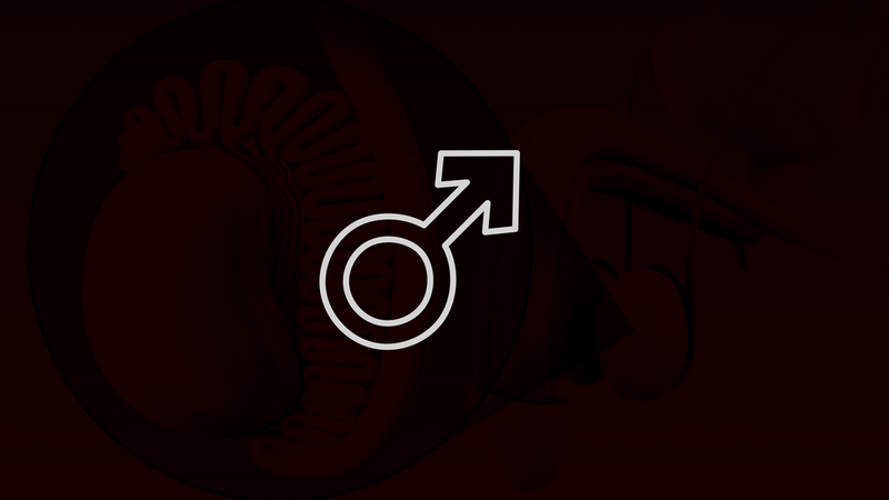 The Benefits of Red Light Treatment for the Testicles